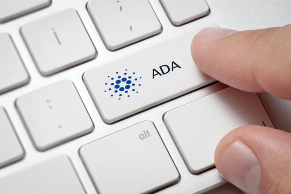 ada-theme