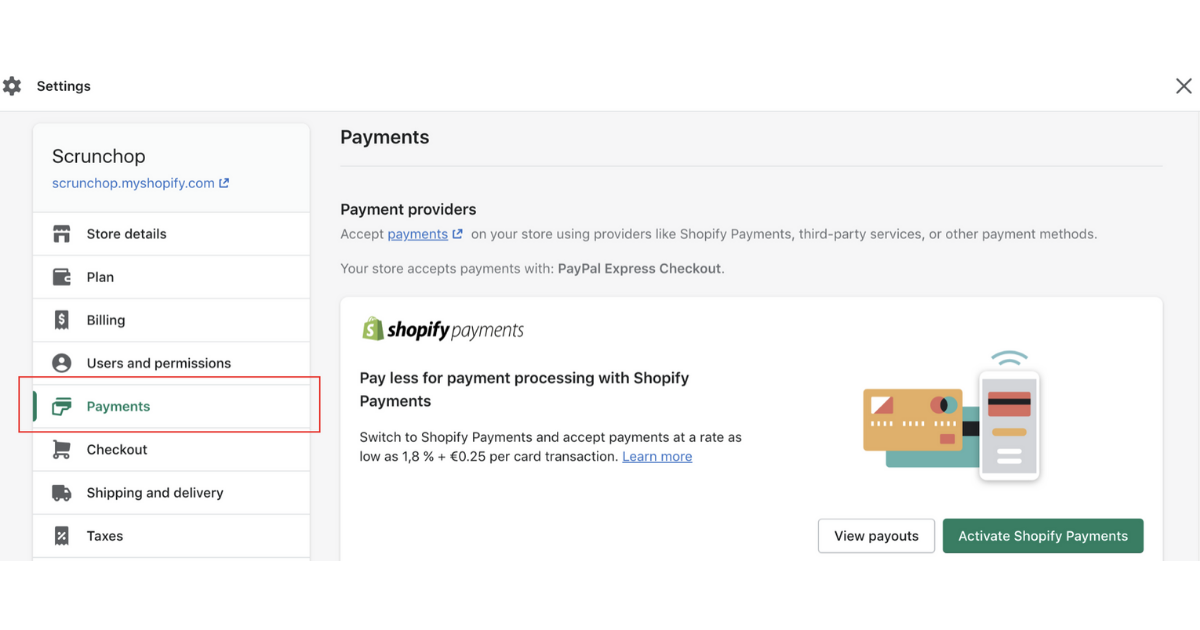 Shopify Payments Pros